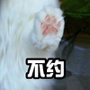不约 猫爪 搞笑 斗图 抬起