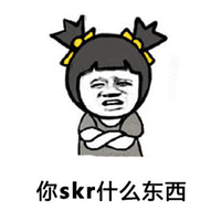 skr 你skr什么东西