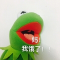 布偶青蛙 绿色 搞笑 可爱 斗图 妈！我饿了!