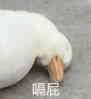 沙雕图 沙雕 沙雕表情包