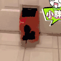 狗 动物 汪星人 可爱 萌