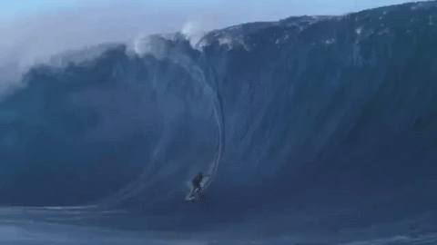 冲浪 运动 海洋 海浪 surfing
