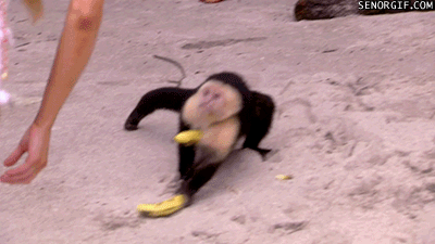 猴子 monkey 跑 香焦