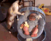猫咪和宝宝 喵星人 可爱 萌娃