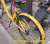 小黄车 ofo ofo倒闭 ofo退押金