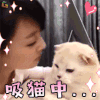 萌宠 猫咪 猫 搞怪 吸猫中 撩 soogif soogif出品