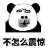 暴漫 文字表情包 不怎么震惊 搞怪 沙雕 魔性