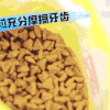 萌宠 泰迪 吃饭 狼吞虎咽