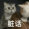 萌宠 猫星人 脏话 骂人 呆萌 可爱