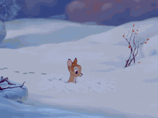 小鹿 转头 可爱 雪地
