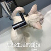 萌宠 喵星人 压力山大 挑起生活的重担 可爱 憨憨