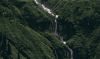 加拿大 山涧 森林 瀑布 纪录片 风景
