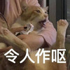 萌宠 喵星人 令人作呕 呕吐 呆萌 搞怪