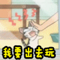 我要出去玩 出去玩 激动 搞怪 猫 甜甜起司猫 卡通 动画片 soogif soogif出品