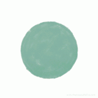 球   圆   鸟   素材