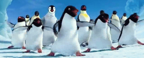 企鹅 可爱 快乐的大脚 跳舞 狂欢 兴奋 开心