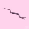 蛇 snake animal 卡通