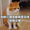 别的小朋友有零花钱我没有 猫咪 搞笑 哭泣 斗图