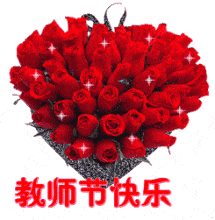 玫瑰花 红色 鲜艳 教师节快乐