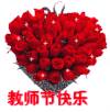 玫瑰花 红色 鲜艳 教师节快乐