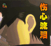 钢之炼金术师 伤心流泪 哭泣 soogif soogif出品