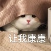 萌宠 喵星人 让我康康 偷看 呆萌 搞怪