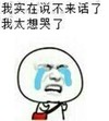 暴漫 想哭 搞笑 雷人
