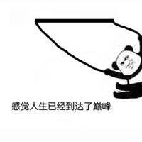 熊猫人 暴漫 荡秋千 感觉人生 到达巅峰 熊猫人荡秋千