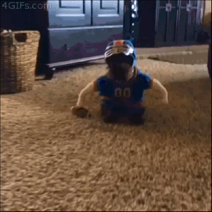 搞笑 狗狗 運動 體育