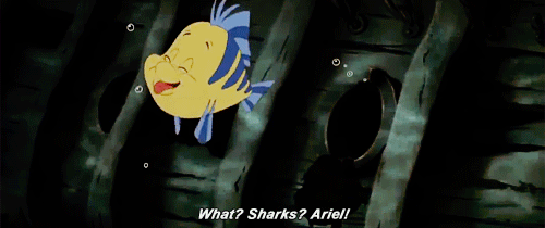金鱼 海底 可爱 惊吓