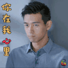 南方有乔木 你在我心里 撩人 soogif soogif出品
