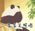 多多关照 害羞 捂脸 熊猫