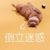 萌宠 喵星人 倒立迷惑 问号 呆萌 可爱
