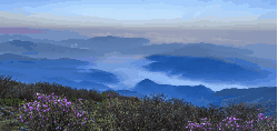 韩国风光 山脉 纪录片 野花 雾气 风景