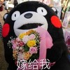 熊本熊 手捧玫瑰 嫁给我 可爱