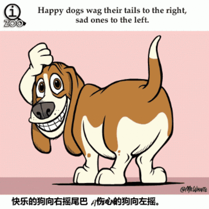 动漫 狗狗 可爱 变脸