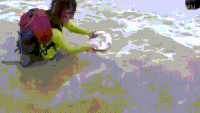 海浪 大鱼 沙滩 海水