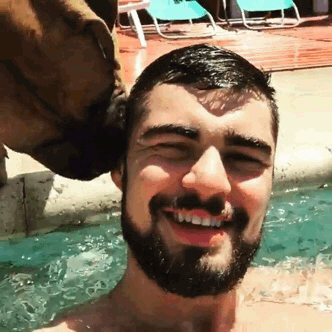 泳池 喜爱 狗狗 主人