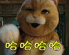 喵星人 哈哈哈哈哈 哈哈哈哈 哈哈哈