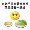 穷 恶搞 逗比 菜里没有一滴油