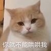 萌宠 喵星人 你就不能哄哄我 难受 呆萌 搞怪