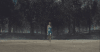 MV Out&Of&The&Woods Taylor&Swift 创意 树木 特效