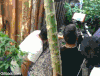 内涵 动作片 拍戏