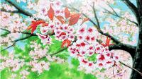 创意 动漫 唯美 意境 花朵 风吹 飘落