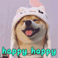 happy 快乐 开心 萌宠 狗 柴犬
