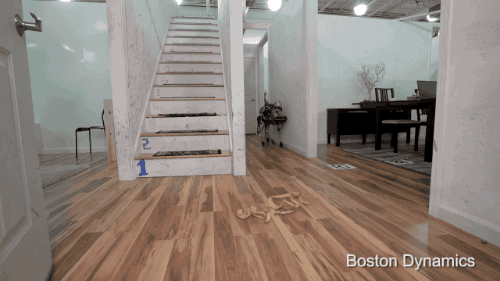 机器狗 踩香蕉皮 摔倒 Boston Dynamics 楼梯