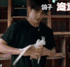 鸽子 追逐 王嘉尔 帅气