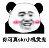 skr 你可真skr小机灵鬼