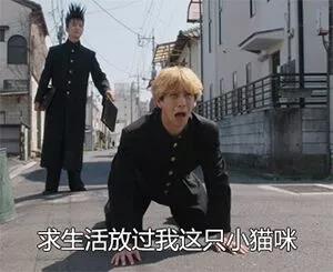 我是大哥大 斗图 伤心 生活 猫咪