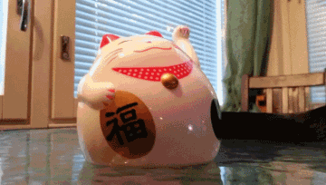 招财猫 萌宠 猫咪 模仿